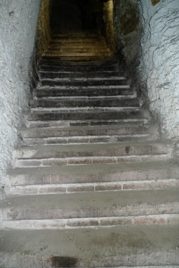 Weinberg Kassel Besichtigung 2